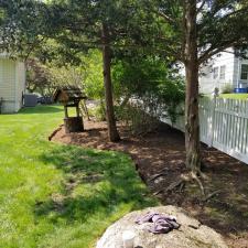 Lawn and tree care 1